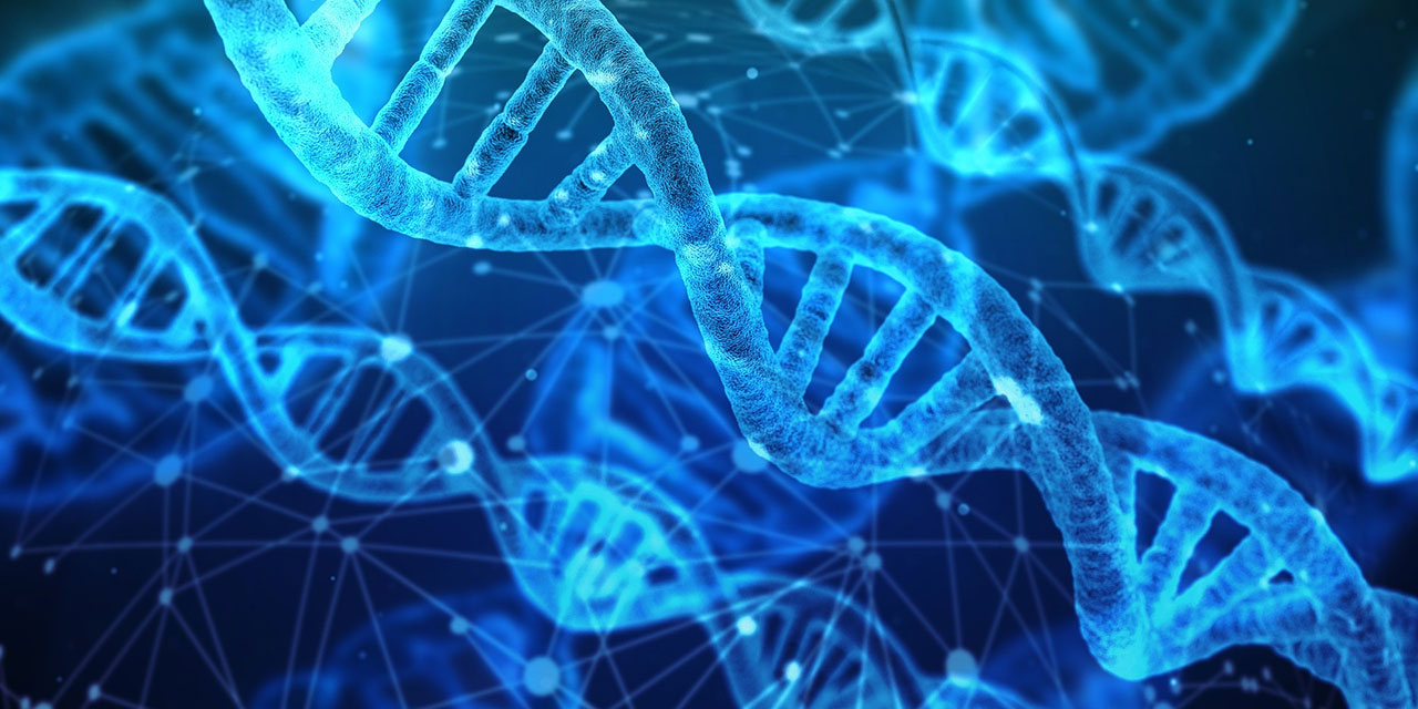 Kanser ve kalp hastalığı için önleyici DNA taraması dünyada ilk kez uygulamaya geçti
