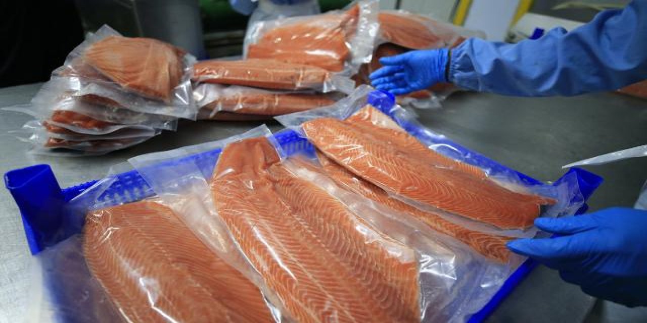 Güçlü bağışıklık için haftada iki kez balık yenmesi öneriliyor