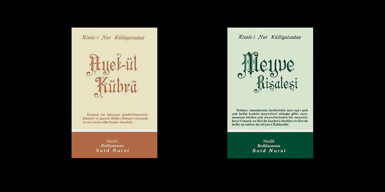 Bediüzzaman: Âyetü'l-Kübrâ ve Meyve gibi eczalar muarızların dehşetli inatlarını kırdı