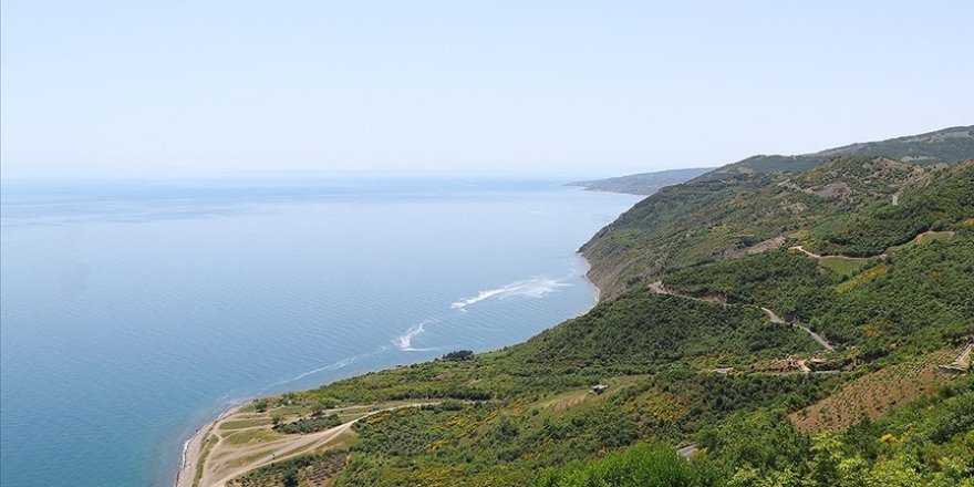 ABD kıyılarında deniz seviyesi 30 yılda yarım metreye kadar yükselebilir