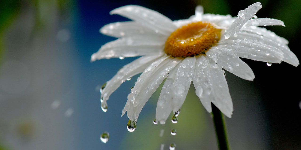 Yeni haftada yağışlı hava etkisini sürdürecek