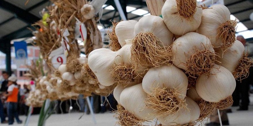 C vitamini deposu soğan ve sarımsak bağışıklık sistemini güçlendiriyor