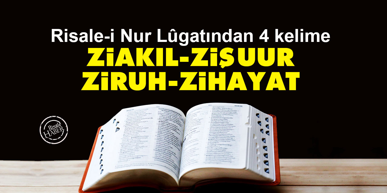 Risale-i Nur Lûgatından 4 kelime: Ziakıl, zişuur, ziruh, zihayat