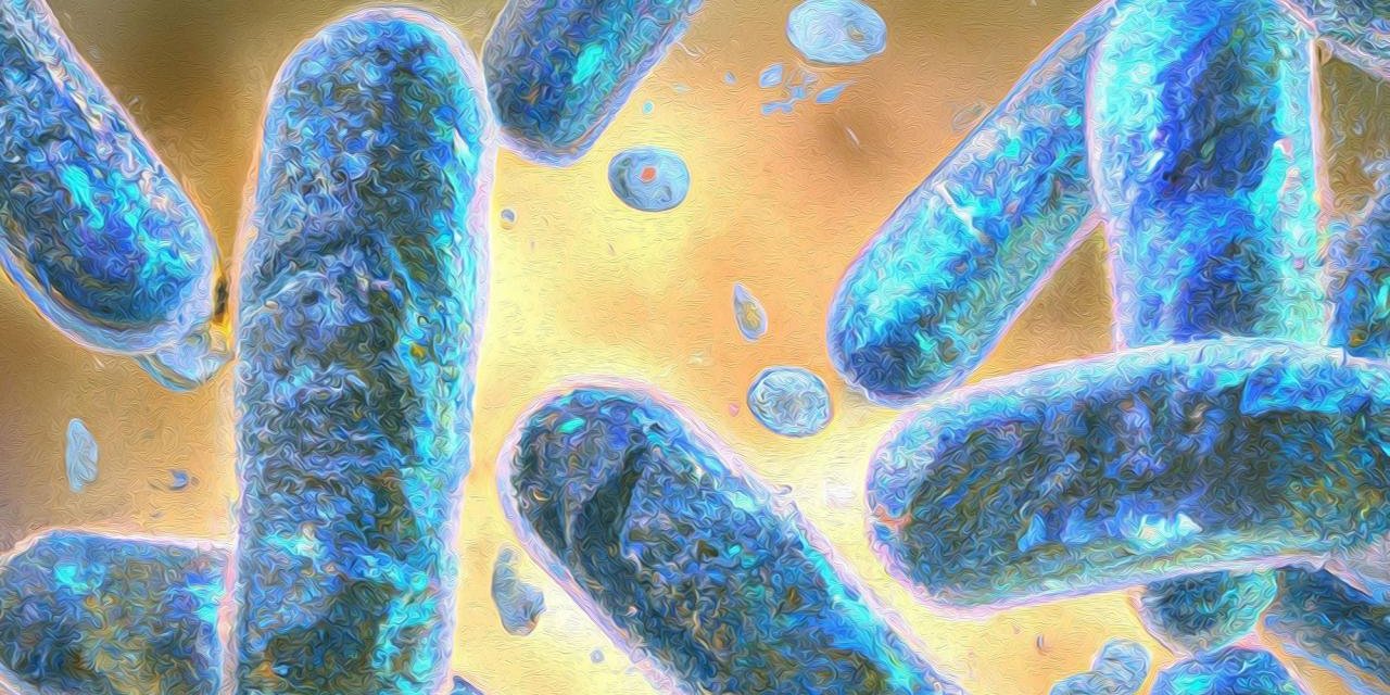 Bilim, 'yaratılış harikası' yeni bir hücre keşfetti