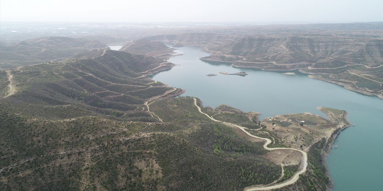Antalya'da küle dönen ormanlarda 5,5 milyon fidan toprakla buluştu