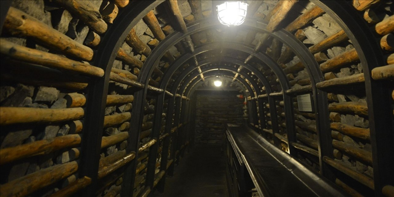 Rusya doğal gazı keserken Almanya elektrik üretiminde gaz yerine kömür kullanacak