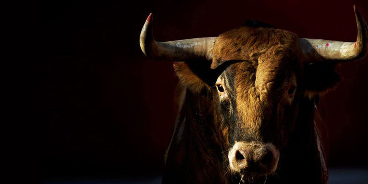 İnsan, ev sofrası için yapmadığı 'öküzlüğü' kainat sofrası için neden yapar?