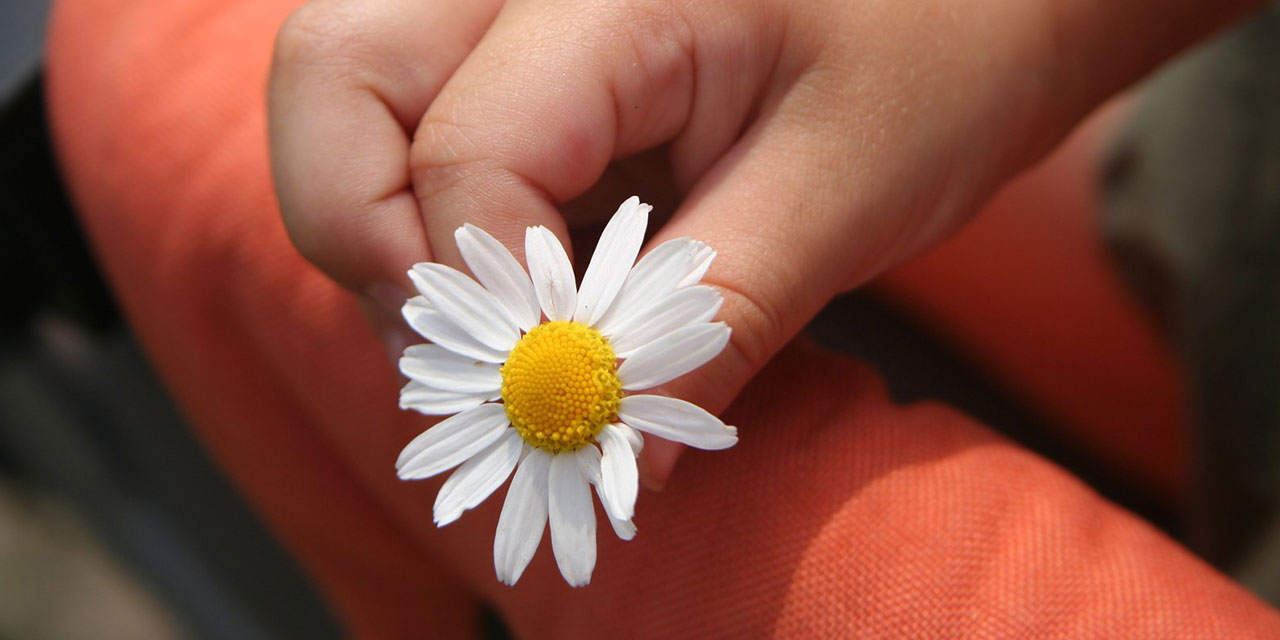 Nezaketli ol depresyondan kurtul