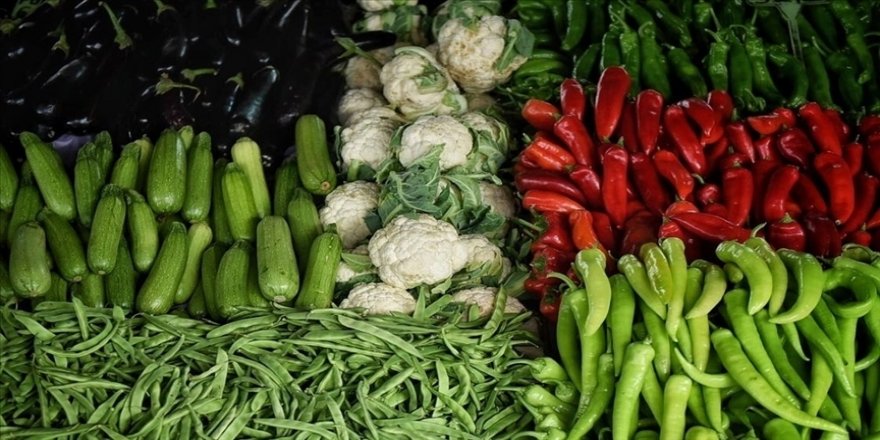Rusya'dan tarım ürünlerinin ithalatına yönelik karar