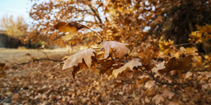 Gördes’de sonbahar bir başka güzel