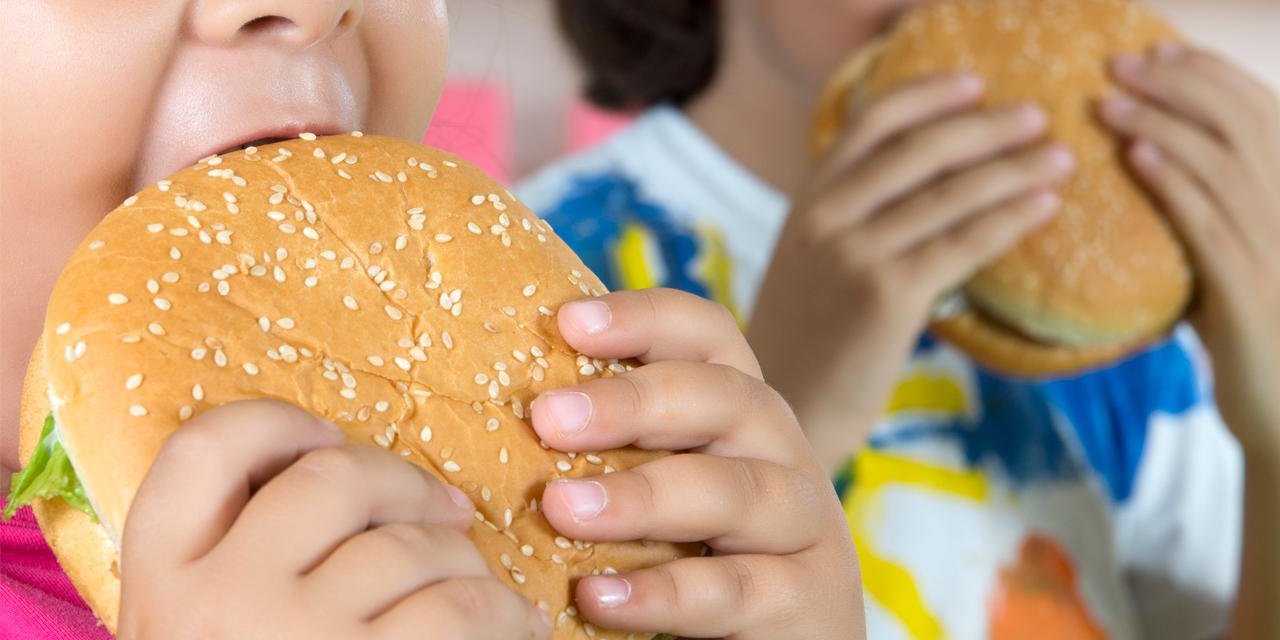 Ergenlik döneminde yenen abur cubur, hafızada kalıcı hasar bırakabiliyor
