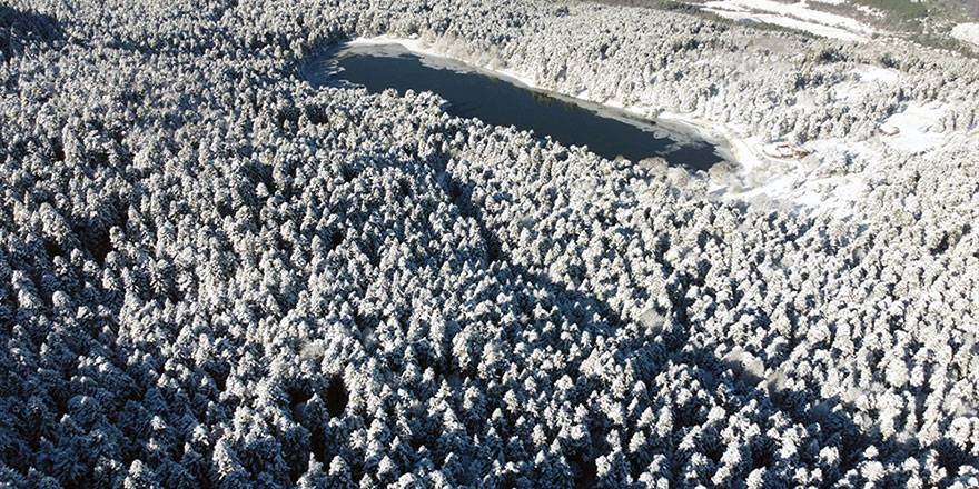 Bolu'nun beyaz rahmetle kaplanan ormanları