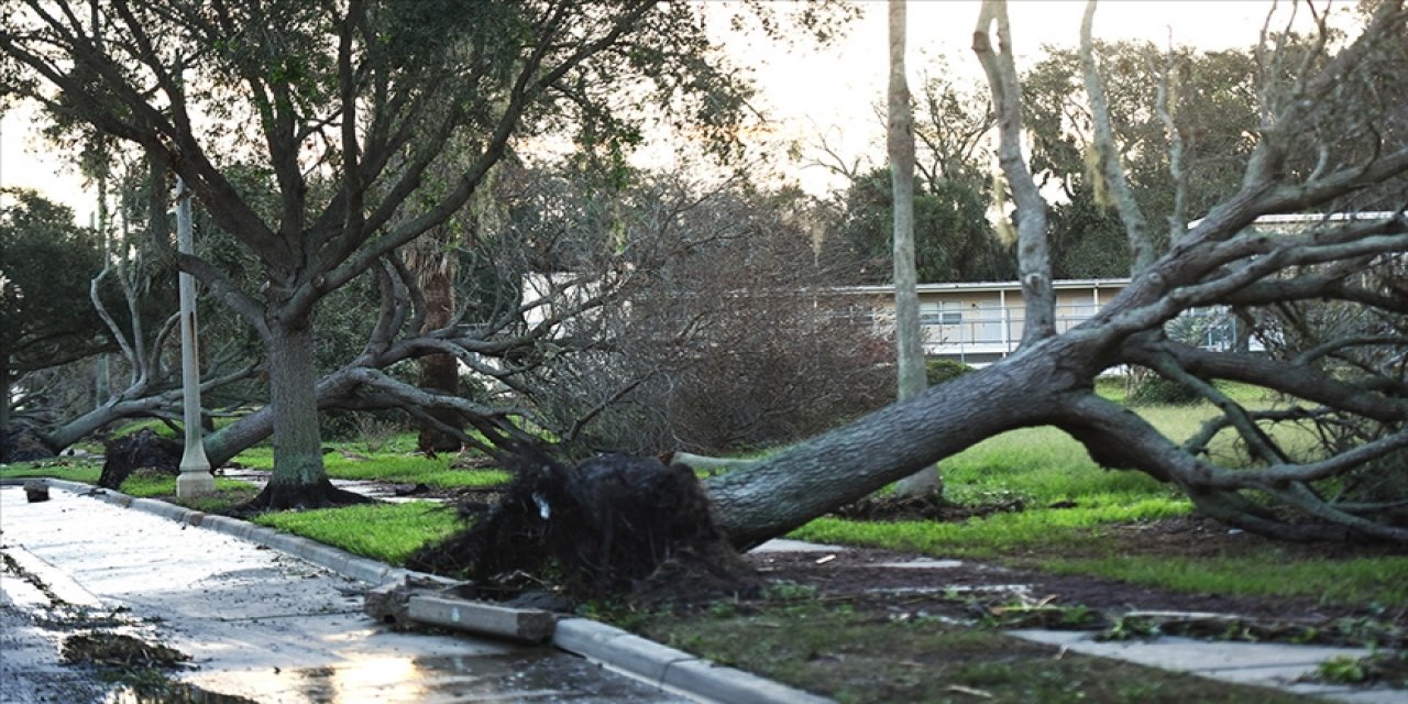 Almanya'da kasırga estirildi ağaçlar devrildi