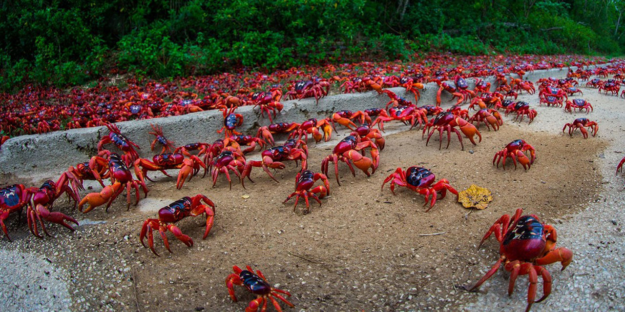 Milyonluk göç (sevk-i ilahi) başladı