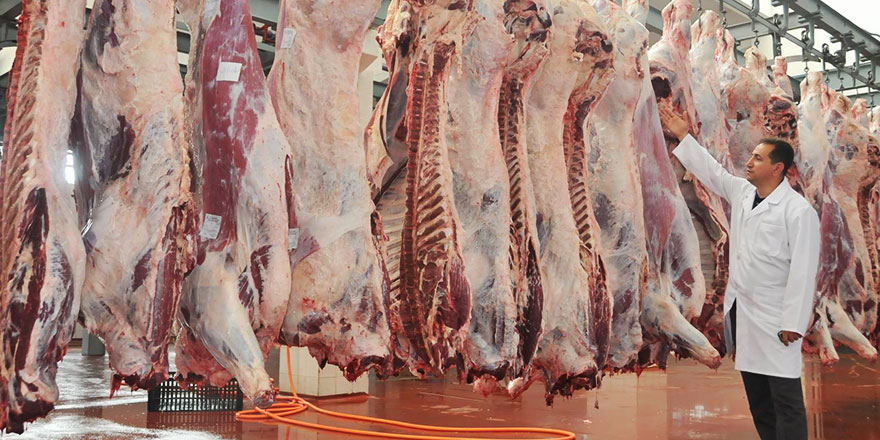 Belçika'da helal kesim yasağına karşı kampanya büyüyor