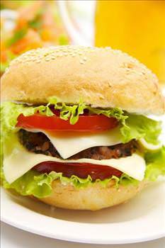 hamburger_d.jpg