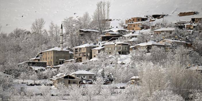 Van'da kar yağışı sonrası güzel görüntüler oluştu