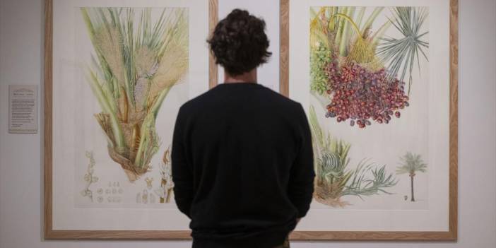 Avrupa'da 'Kur'an Bitkileri' sergisi