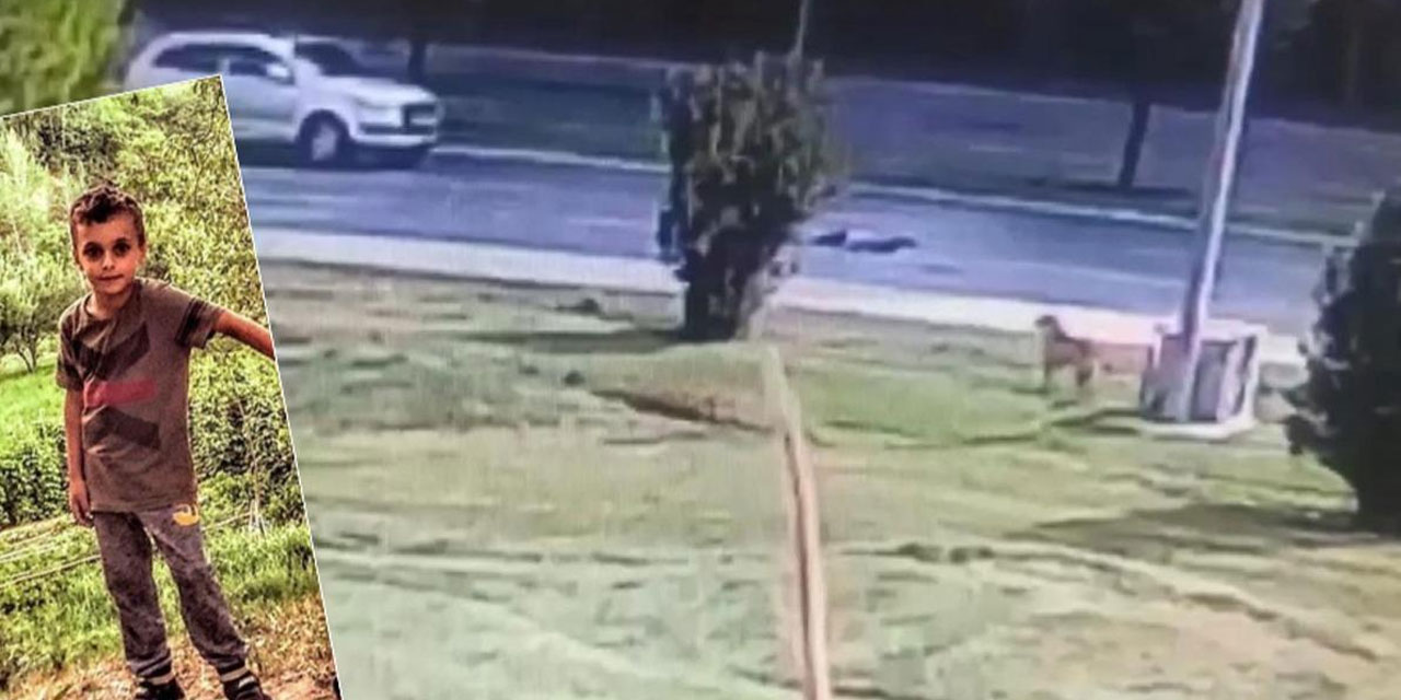 Daha kaç kişi ölecek: Köpeklerden kaçan 10 yaşındaki çocuğa araba çarptı