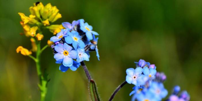 Türkiye'nin en çetin kış mevsiminin yaşandığı Kars'ta yeniden diriliş manzaraları