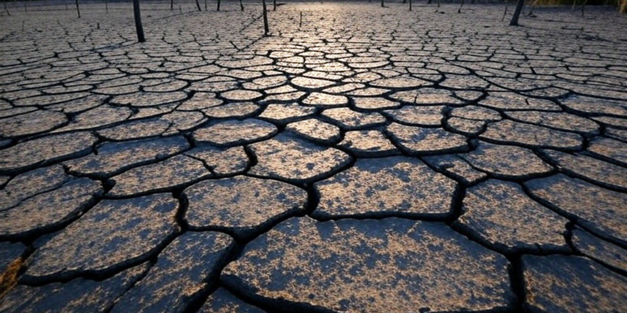 Bediüzzaman: Nurcuların yüzlerini dünyaya ve siyasete çevirmek istemelerinden kuraklık başladı