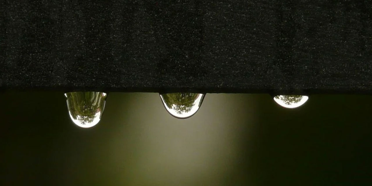 Bediüzzaman: Eğer, zekâvetlerinin zekâtını, zenginler zekâtın zekâtını milletin menfaatine sarf etseler