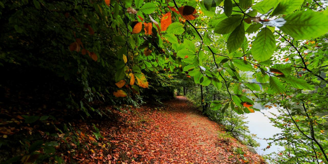 Domaniç Dağları sararan ilk yapraklarla sonbahara girdi