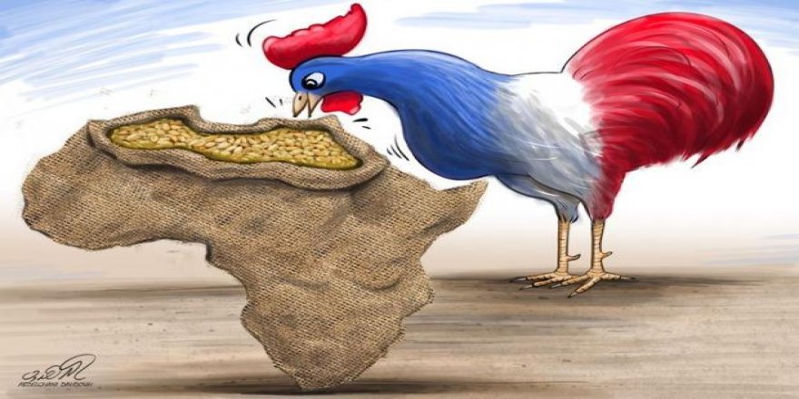 Afrikalı gençler Fransa'yı değişime zorluyor