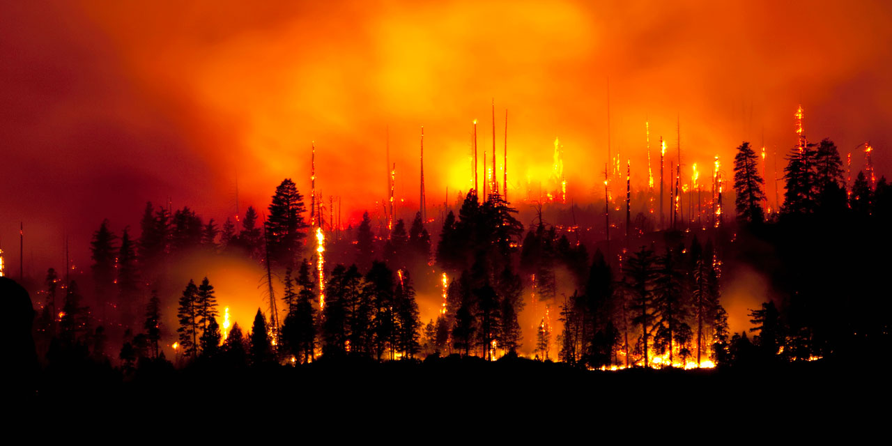 Orman yangınlarının yüzde 48'i ihmal, dikkatsizlik ve kaza sonucu çıktı