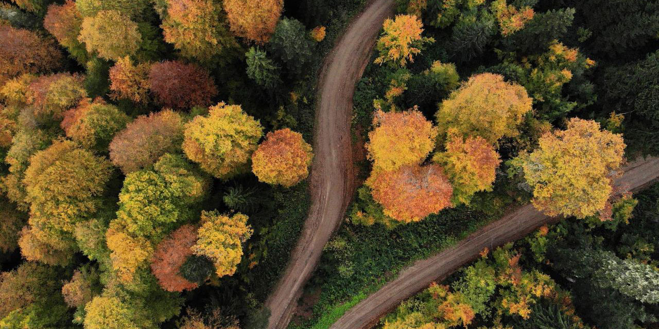 Erzincan’da hazan mevsimi güzelliği