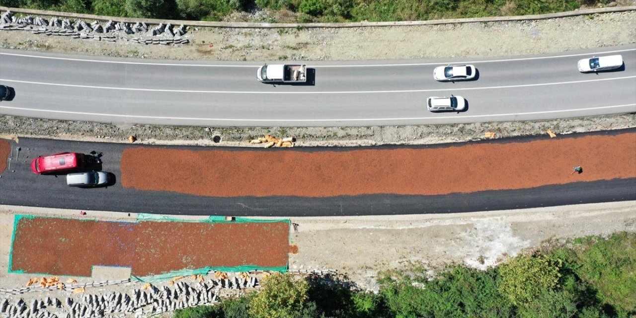 Yeni yapılan yol fındık harmanı oldu