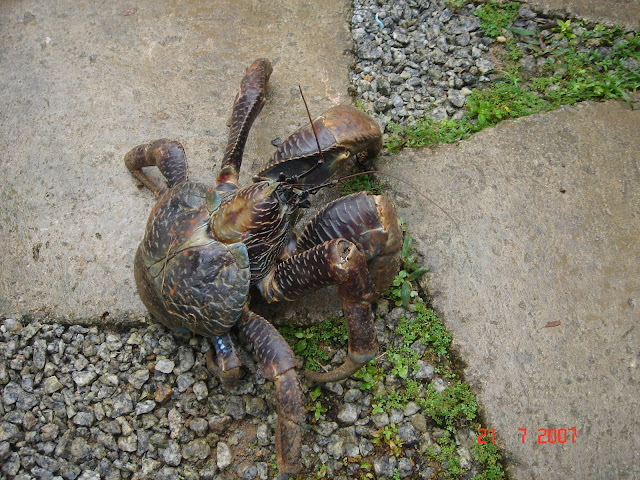 DSC03962.JPG