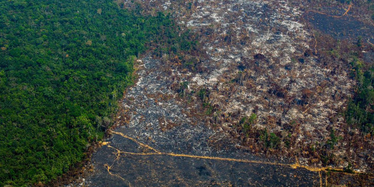 Kıyameti hızlandırıyorlar: Brezilya Amazonlarında 'ormansızlaştırma rekoru' kırıldı