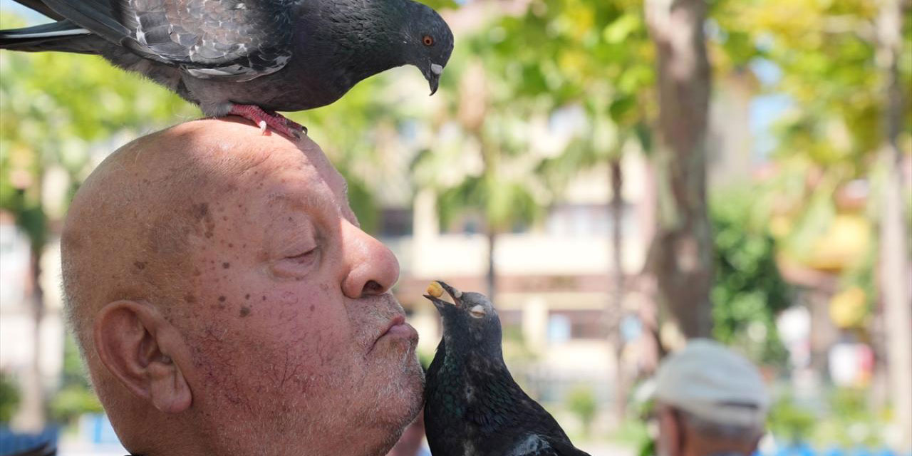 Necmi dedenin güvercin sevgisi: Bunlar Peygamberimize siper oldu Allah'ın emriyle