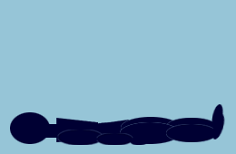 T1.gif