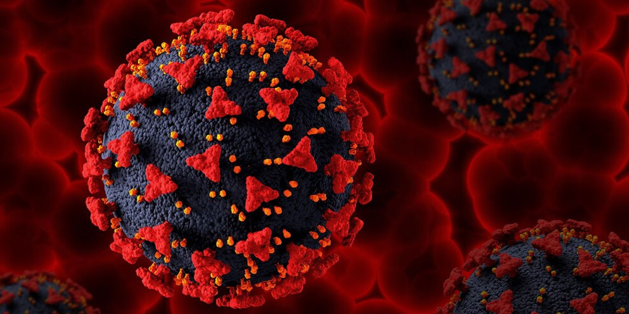 Hepatit hakkında 5 soru 5 cevap