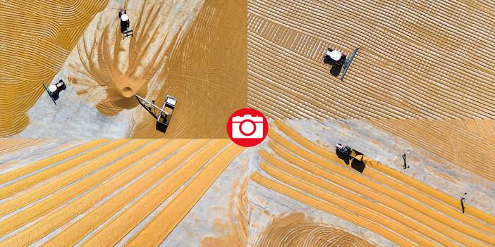 Nizip'te buğday, geleneksel yöntemlerle kurutuluyor