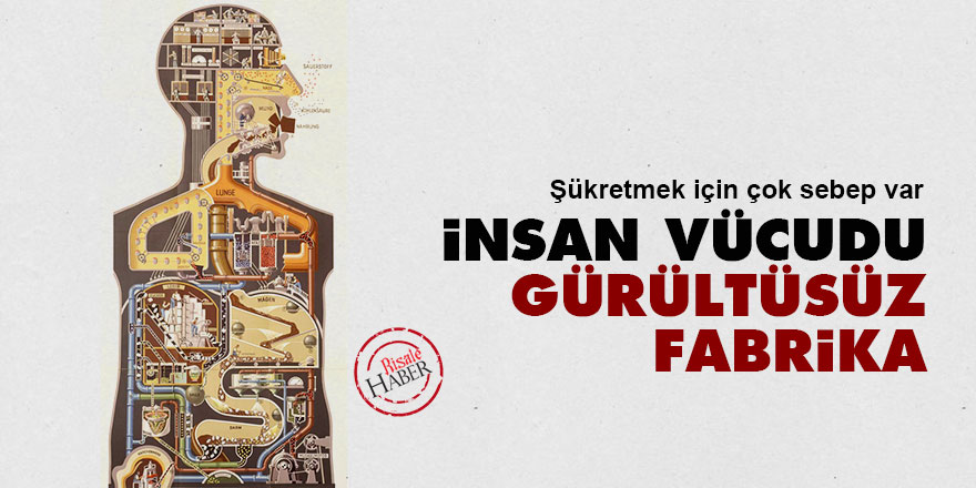 İnsan vücudu: Gürültüsüz fabrika