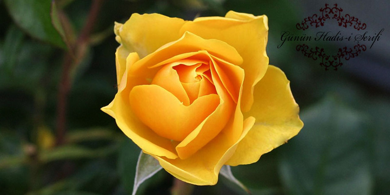 Sizlerden biri insanlara imam olduğunda namazı kısa tutsun