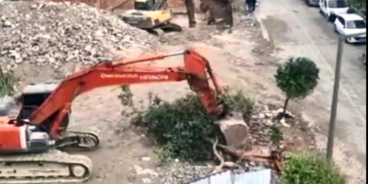 Ağacın kepçeyle devrildiği inşaat mühürlendi