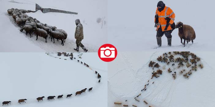 1940 metre yükseklikte besicilerin zorlu mesaisi