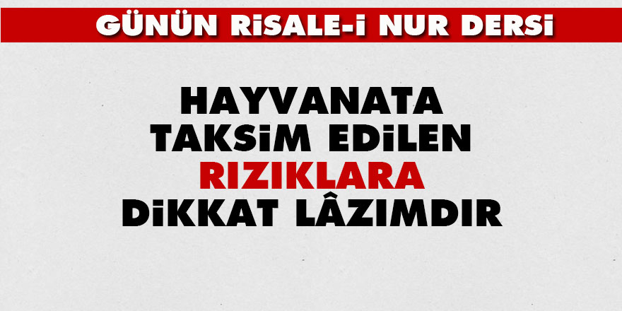 Hayvanata taksim edilen rızıklara dikkat lâzımdır