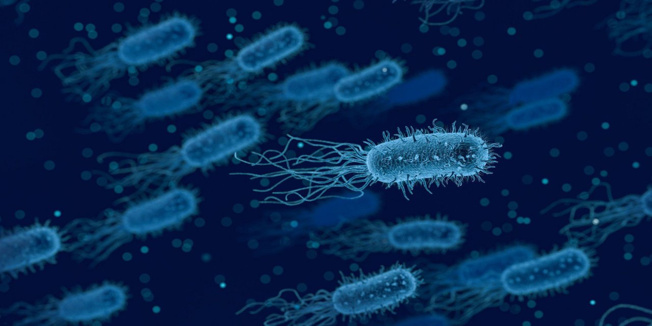 Fransa'da bakteri krizi büyüyor