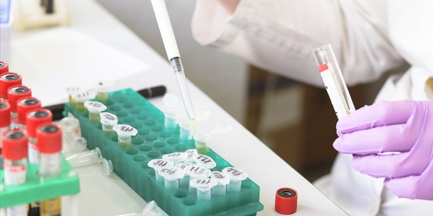 SMA testinin detaylarını uzmanları anlattı