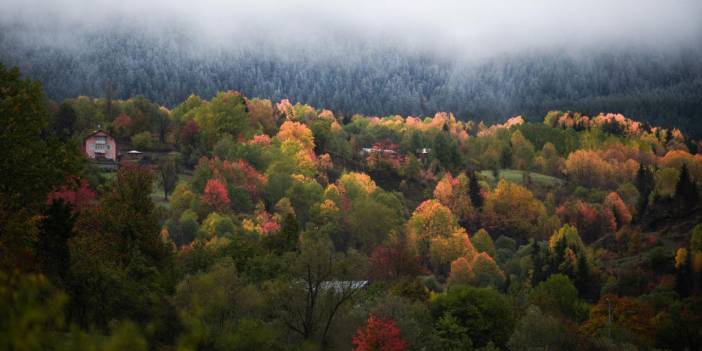 Artvin'de iki mevsim bir arada