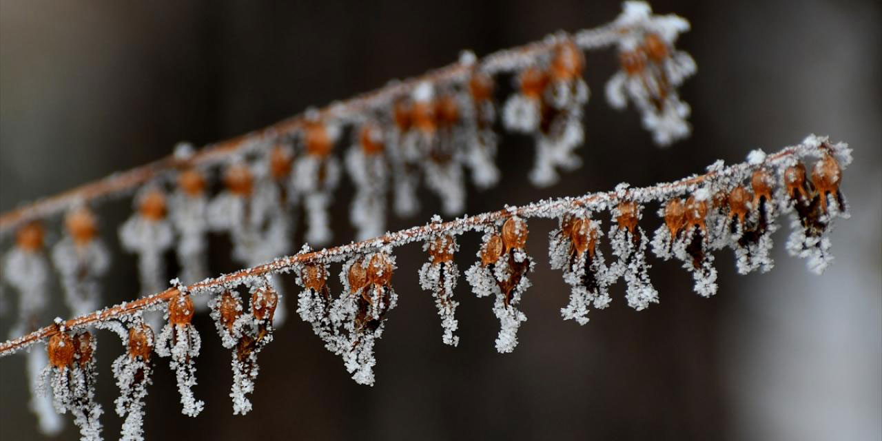 Doğu Anadolu'dan beyaz rahmet manzaraları