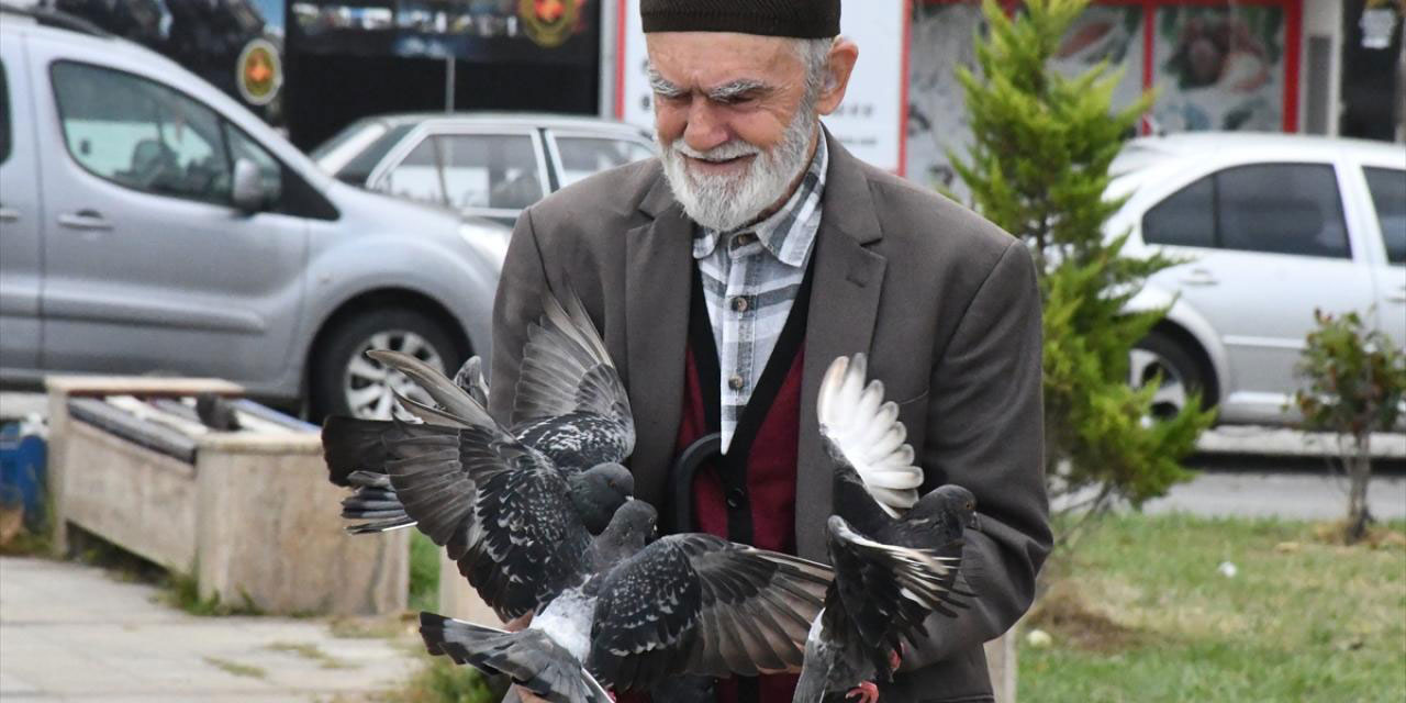 Eline konan güvercinleri besliyor