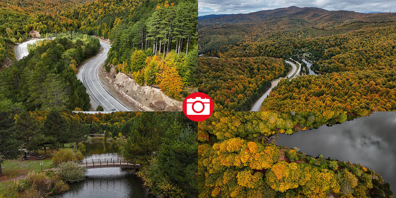Domaniç Dağları sonbaharın renklerine büründü