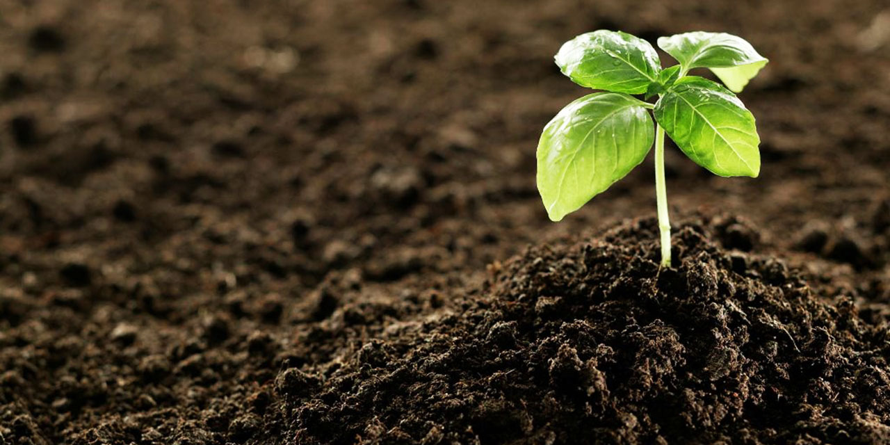 Bediüzzaman: O bedbahtlar, iktisadın hârikulâde bereketini bilmiyorlar