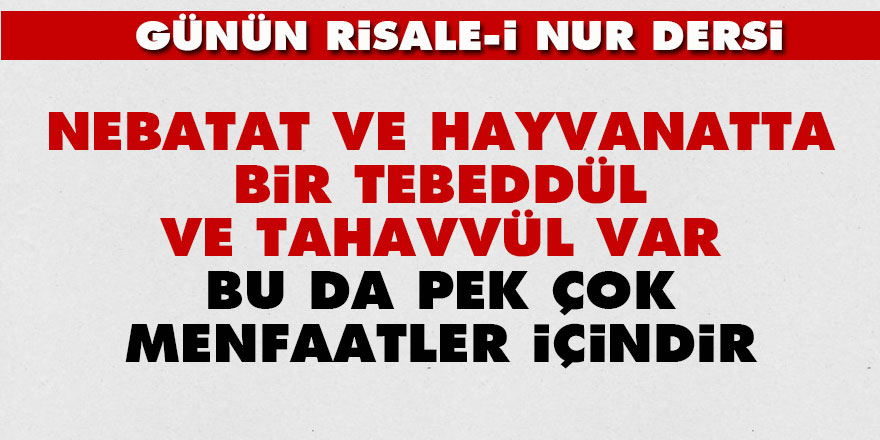 Nebatat ve hayvanatta bir tebeddül ve tahavvül var, bu da pek çok menfaatler içindir
